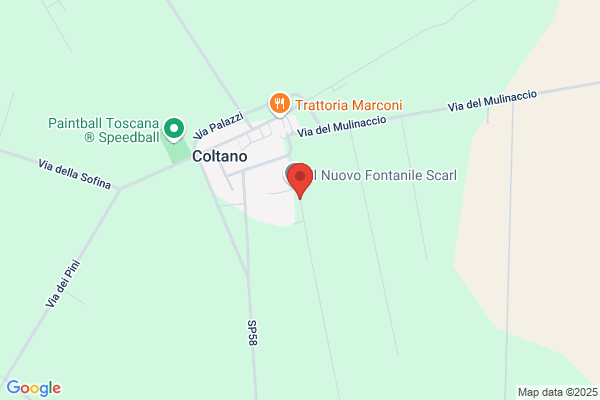 Scodinzolandia Di Ciucci Matilde matilde