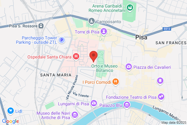 Universita Degli Studi Di Pisa/Facoltamedicina E Chirurgia