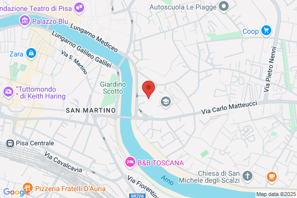 Universita Di Pisa Dip. Cardiotoracico