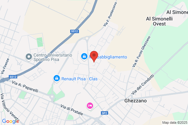 Pasquini meri
