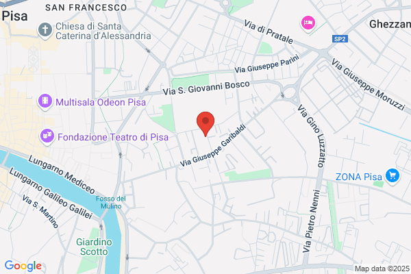 Falciani Massimo