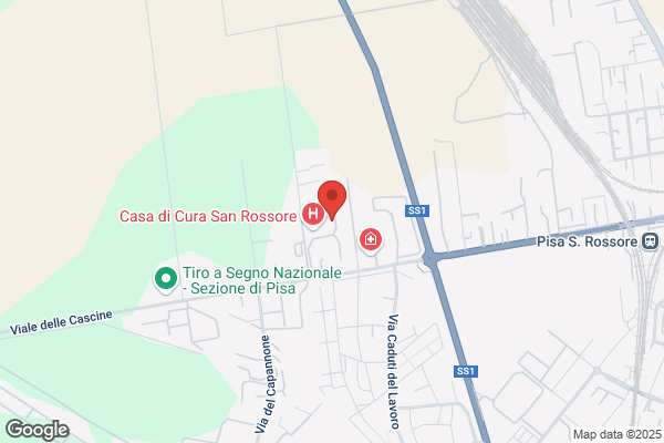 Palla claudio