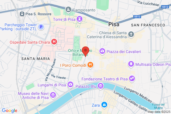 Mazzia ines