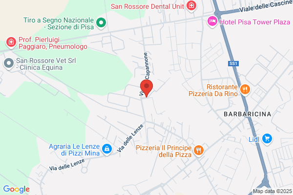 Ristorante I Lumi di San Rossore