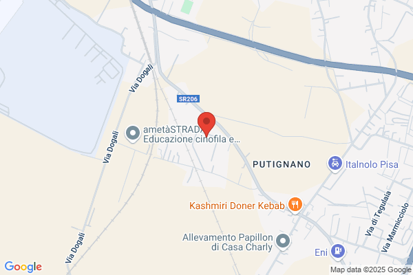 Poste Italiane S.P.A./Filiale Di Pisa