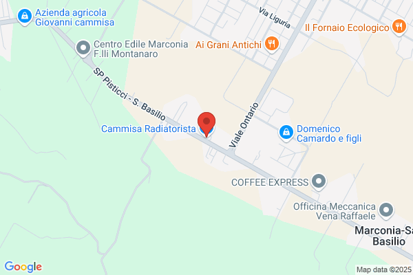 Cammisa Radiatorista
