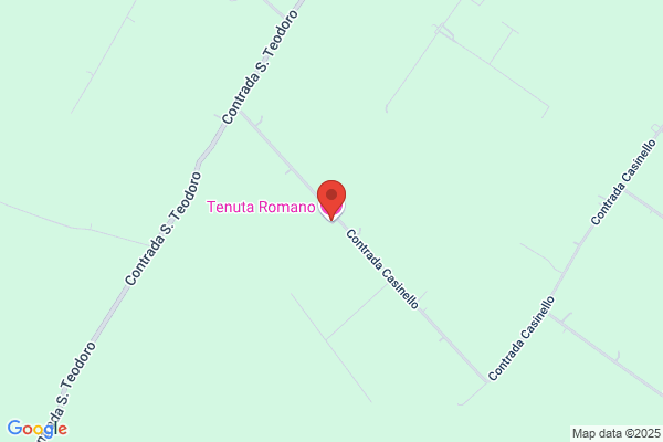 Romano bartolomeo