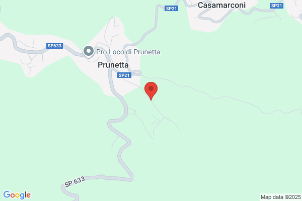 Loretta 2000 Di Ducceschi Franc0 & C. snc