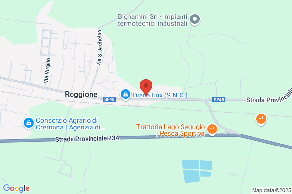 Impresa Edile Frigoli & Orlandi (S.N.C.)