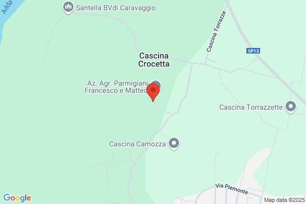 Parmigiani giorgio E Celso