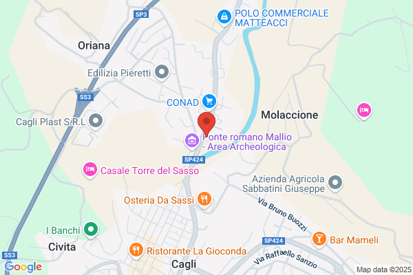 Volpi marco