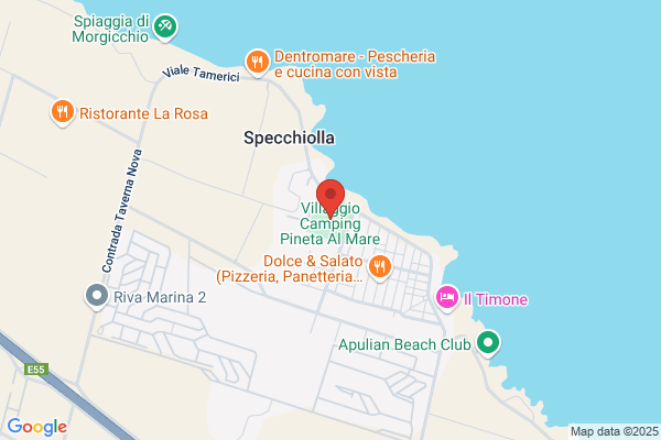 Villaggio Camping Pineta Mare