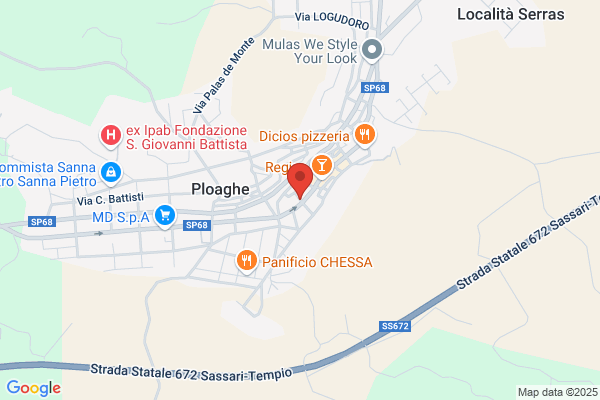 Pinna alberto (Dr.)