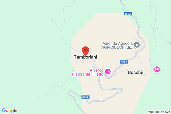 Terzoni Tamborlani mariuccia