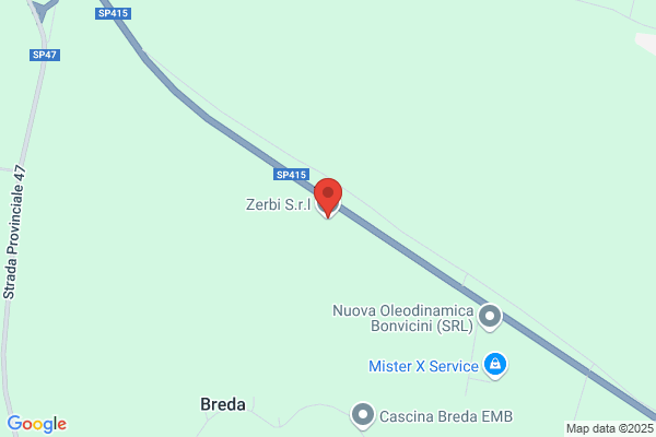 Zerbi fabrizio