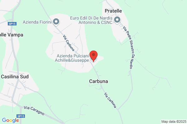 Sonic Di Cappellari Luigina