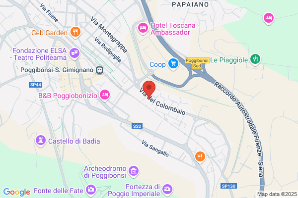 Manganelli Dr. Carlo
