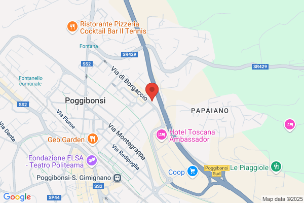 Pastorelli silvia
