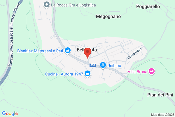 Putsch Meniconi