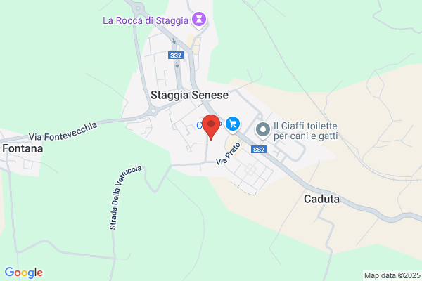 Scuole Pubbliche