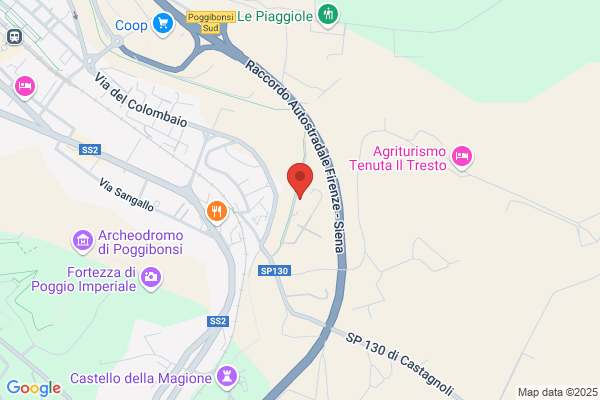 Nuoto Virtus Poggibonsi