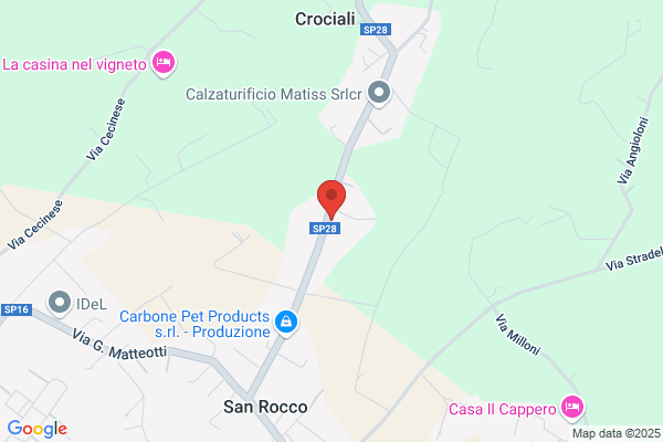 Neri S.N.C. Di Neri Massimo E C.