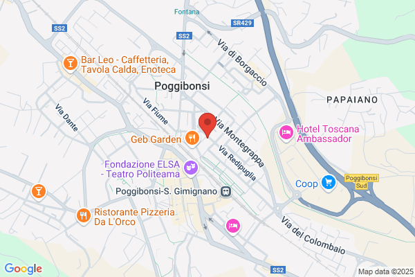 Parrini marcello