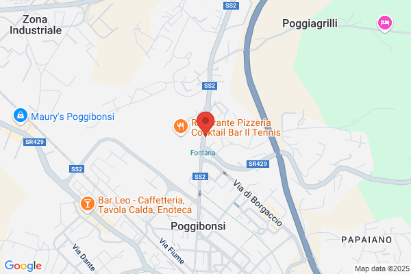 Geologica Toscana Studio Associato