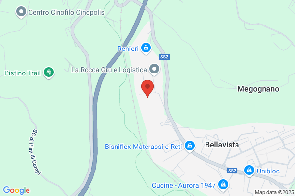 Newton Industrie Trasformatori S.R.L.
