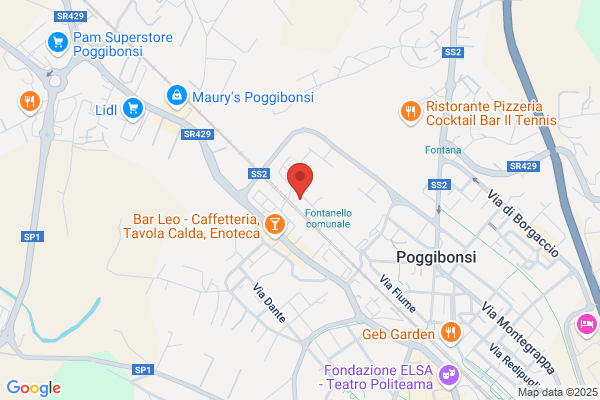 Studio Borghi Di Borghi Giancarlo E C. sas