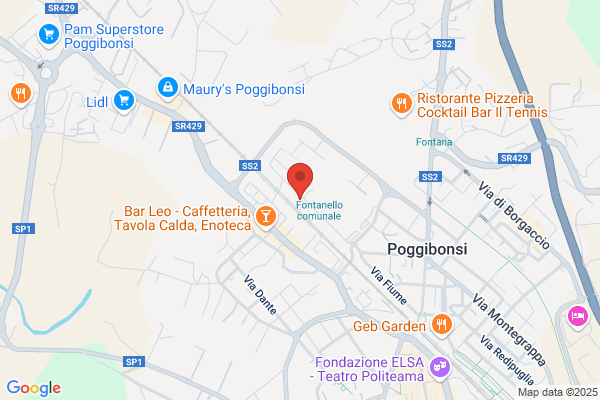 Partito Democratico Della Sinistra