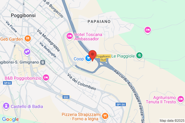 Poggibonsi Valdelsa S.R.L.