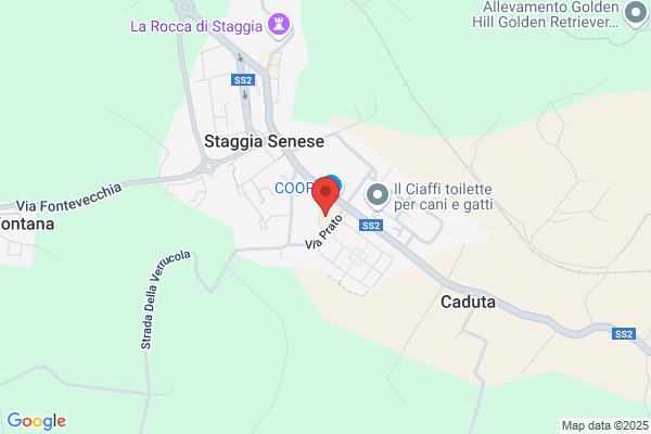 Trattoria della Rana