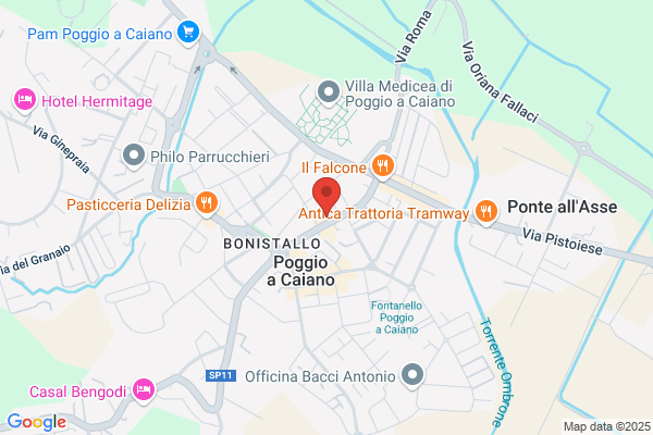 Pagnini paolo
