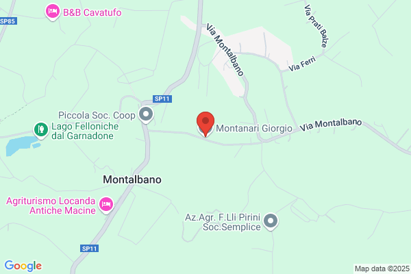 Montanari giorgio