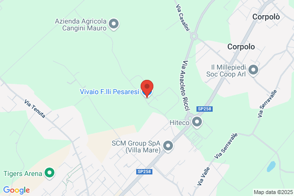 Vivaio Pesaresi