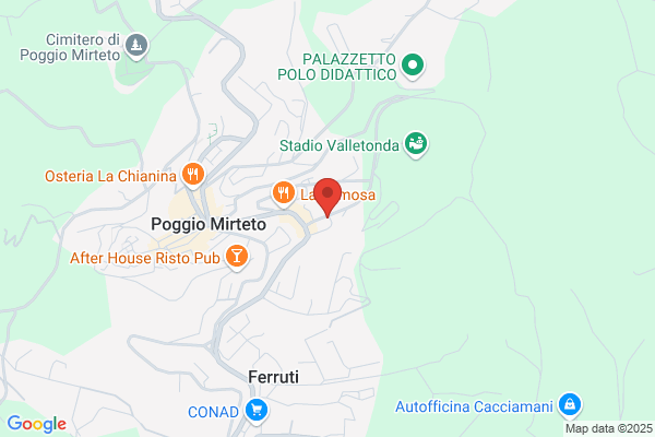 Pl Net Di Menicucci Carlo carlo