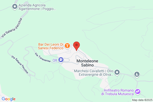 Agenzia Funebre Nuova Leonina