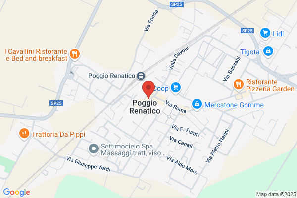 Partito Democratico Della Sinistra