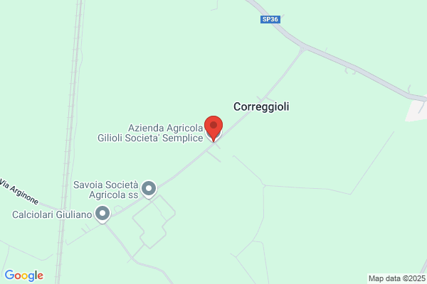 Gilioli S.R.L.