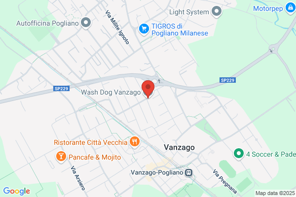 Wash Dog Vanzago
