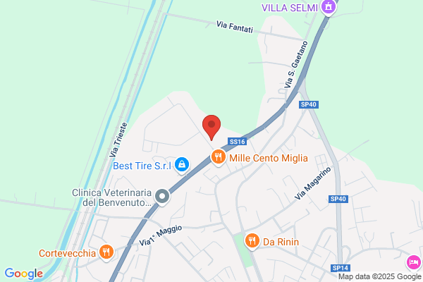 Zese barbara