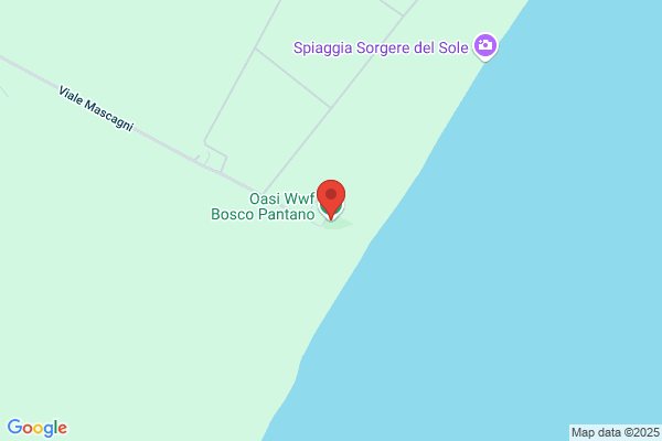 Oasi Wwf Bosco Pantano