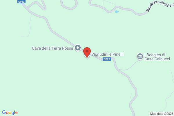 Pinelli martino