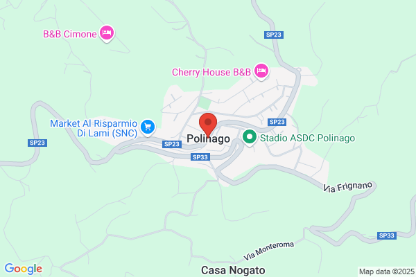 Tolone nicola