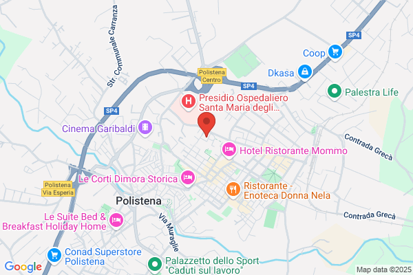 Polizia Di Stato