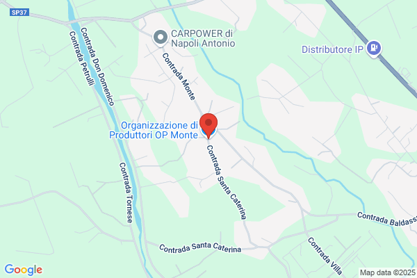 Organizzazione di Produttori O.P. Monte