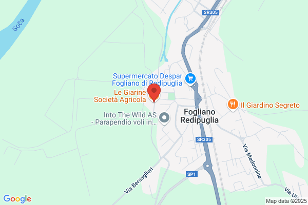 Fogliano Gino
