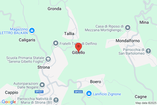 Gibello Elisabetta
