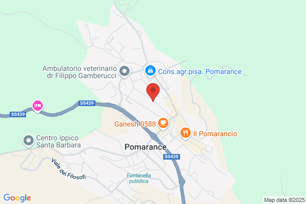 Garfagnini Sauro